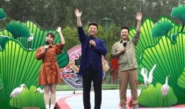 大佛最新爆料新闻视频下载,揭秘视频背后的惊人真相