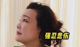 孟贺爆料视频大全下载最新,揭秘幕后真相，最新动态全收录