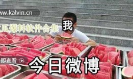 吃瓜爆料合集下载最新版,最新版深度解析，揭秘娱乐圈风云变幻