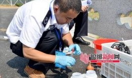 临沂演练爆料事件最新,揭秘背后真相与争议